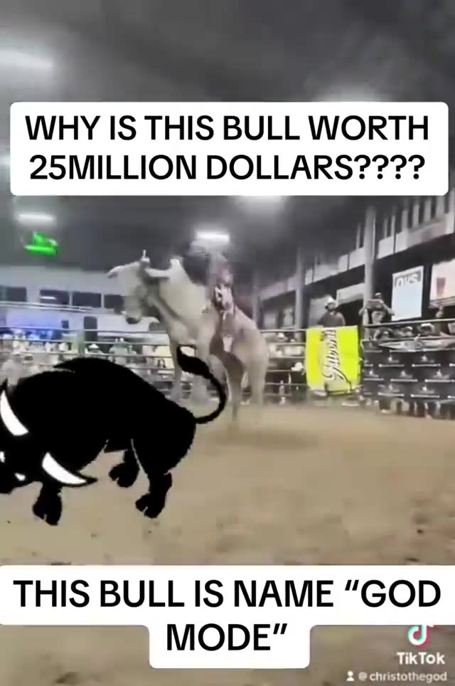 How to stay on the bull as long as possible