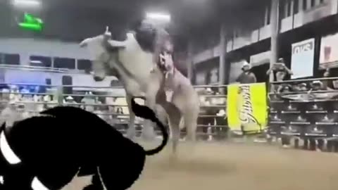 How to stay on the bull as long as possible