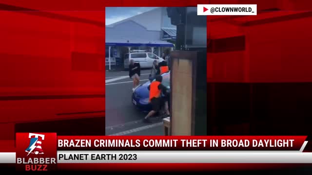 Brazen Criminals Commit THEFT In Broad Daylight