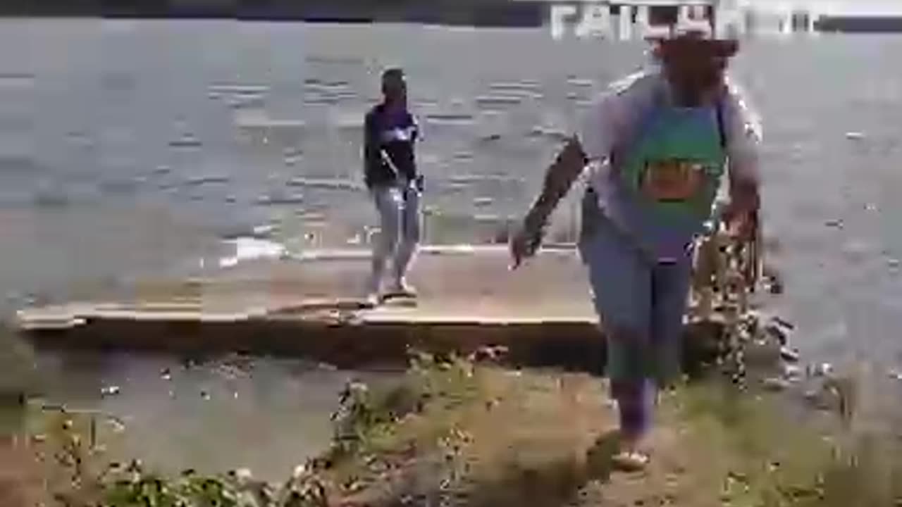 Siblings funny videos funny clips amazing videos
