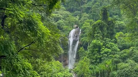 Natural Beauty - Bengal India