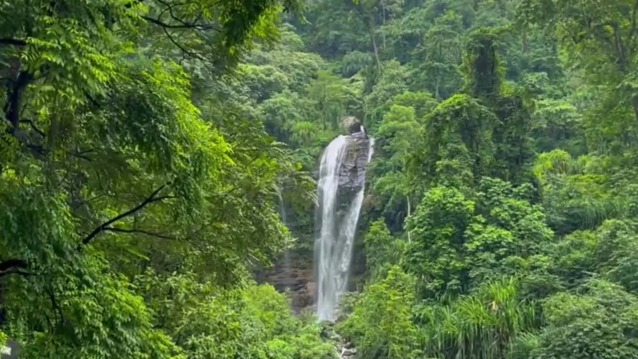 Natural Beauty - Bengal India