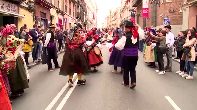 Sheep take over Madrid in ancient practice