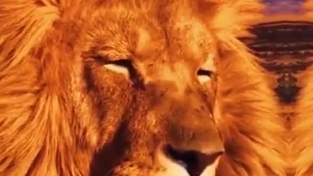 Crazy animals transformations 😦😦 #shorts