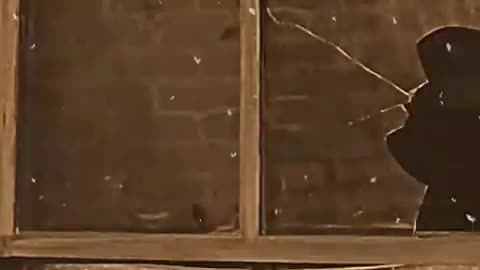 King of comedy video Chaplin Charlie