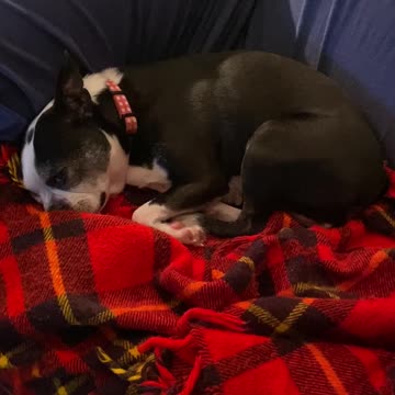 Sleeping with one eye open