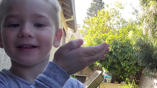 Levi messing around