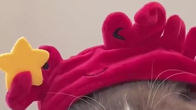 Send it to your loved ones!