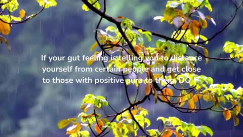 Improving Your Body Defence