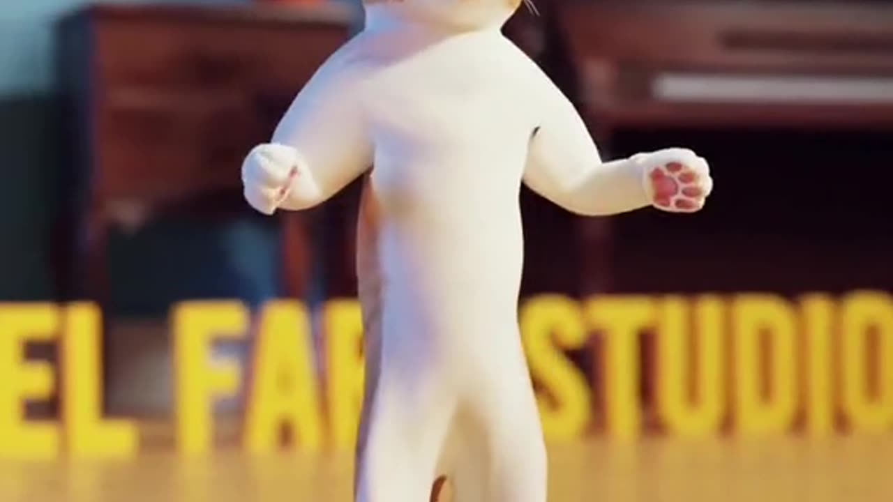 Dancing cat😺..cat video