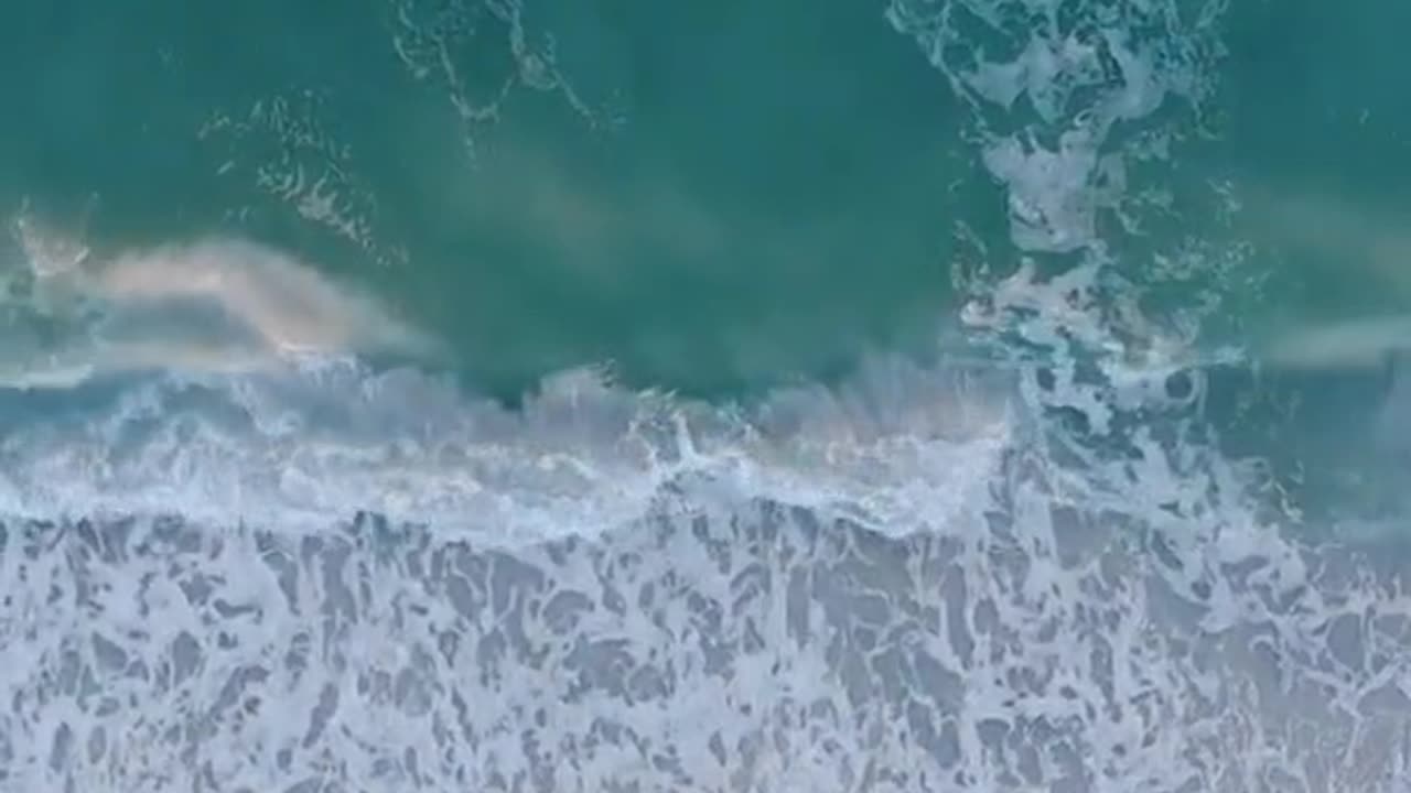 Dance with the waves, move with the sea.