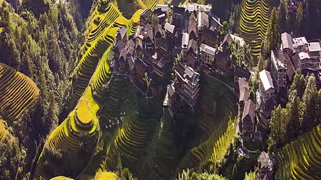 Reproduce the beautiful scenery of terraced fields! #Scenery #Tourism #shorts