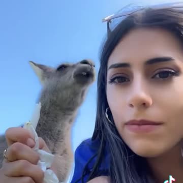 Aussie of Assyrian descent trying to take a selfie