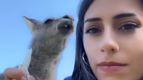 Aussie of Assyrian descent trying to take a selfie