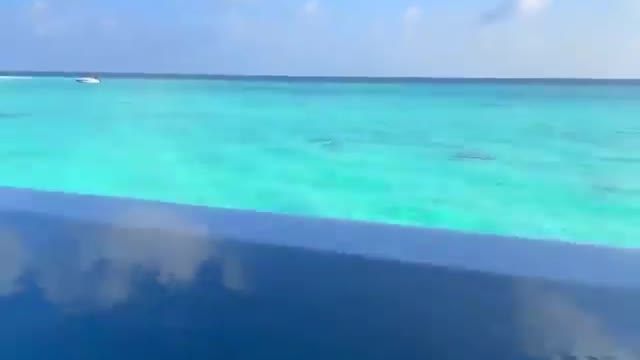 Metas de férias passar 7 dias nas Maldivas 😍 Quem você levaria 🏝 Vídeo por