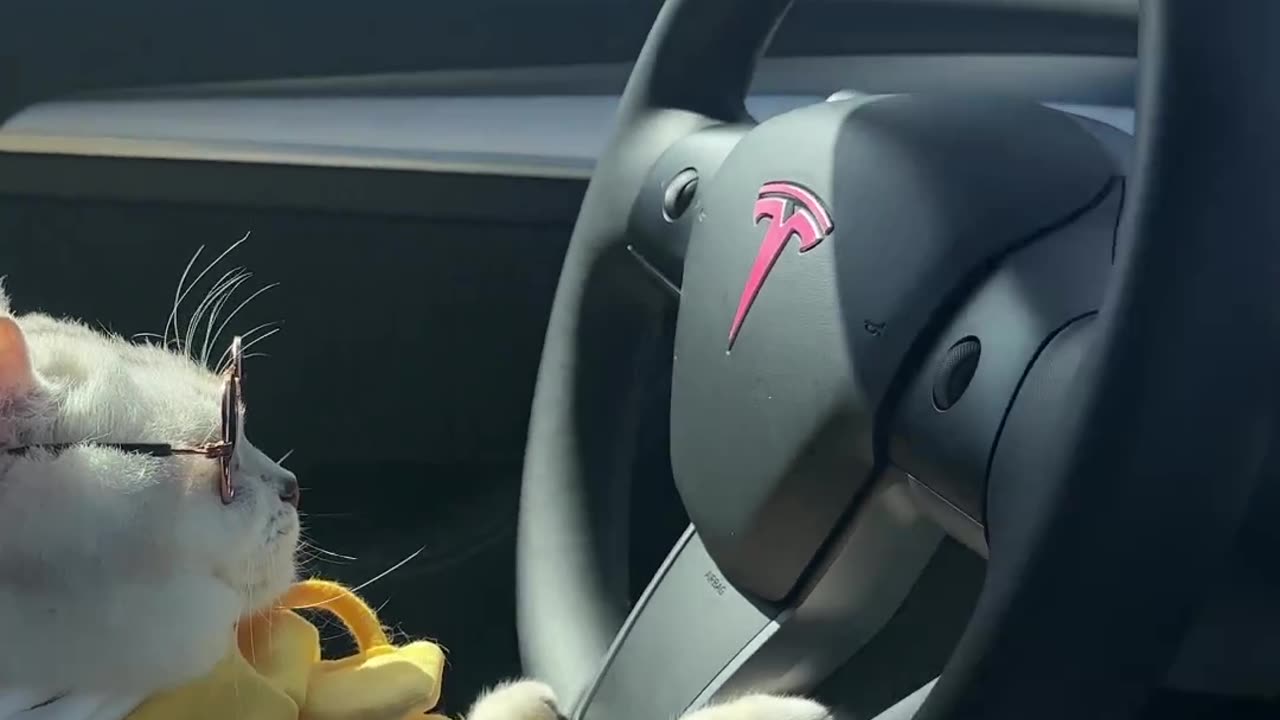 Long drive