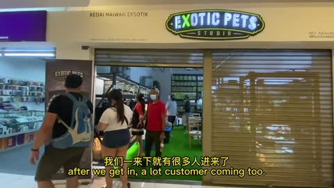 OMG! A lot of Reptile and Animals in Exotics Pets Studio Malaysia?!!!