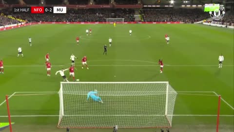 WOW!!! THIS VIDEO HAS GONE VIRAL! NOTTS FOREST VS MAN UNITED