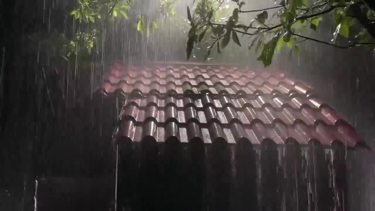 Deep Sleep Instantly with Heavy Rain & Roaring Thunderstorm Sounds on Tin Roof in Forest at Night