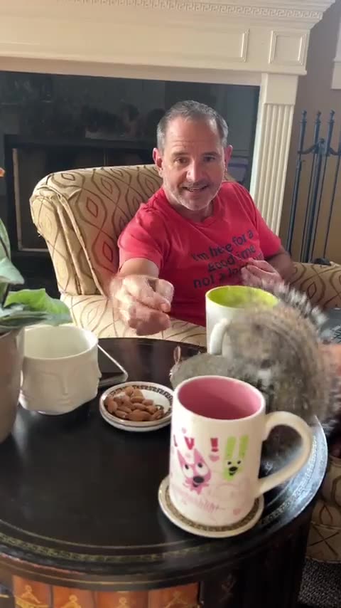 Definitely better than my "window squirrels"