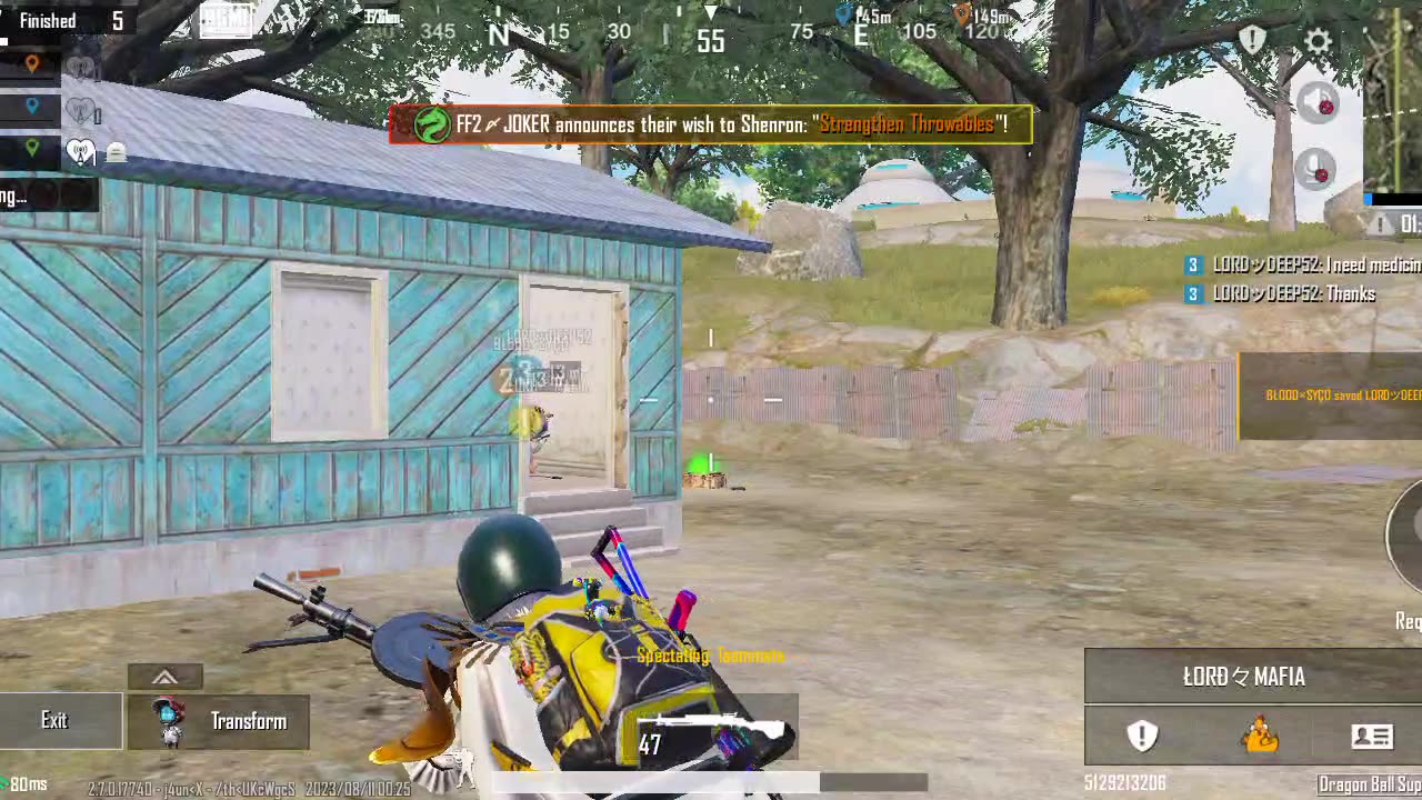 Pubg