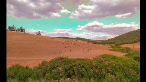 Football in the middle of the jungle.