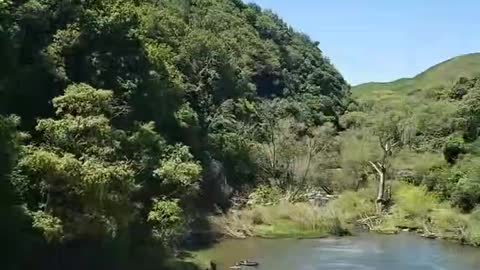 Rere falls Gisborne New Zealand