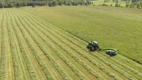 Tractor Cutting Grass In The Field