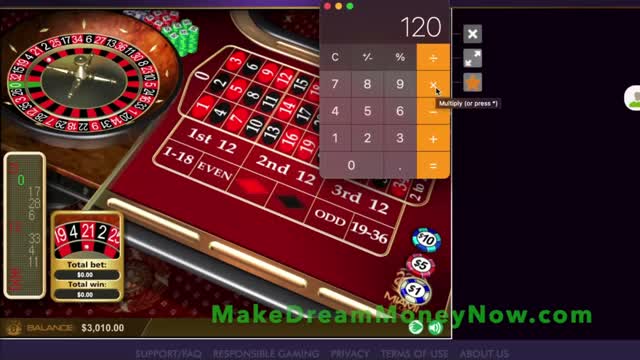How to Make Money Online (Make $1000+ Per Day!)