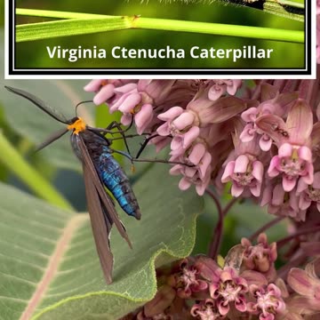 What's in my backyard?