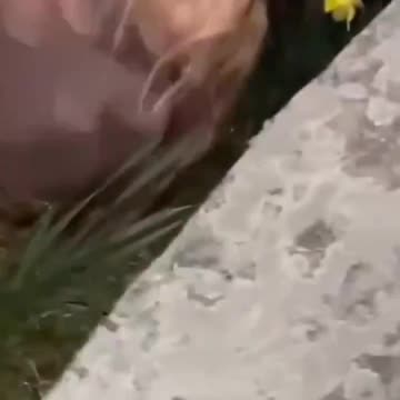 A white teenager was brutally beaten by a group of black teens inside a park in Greenwich, CT.