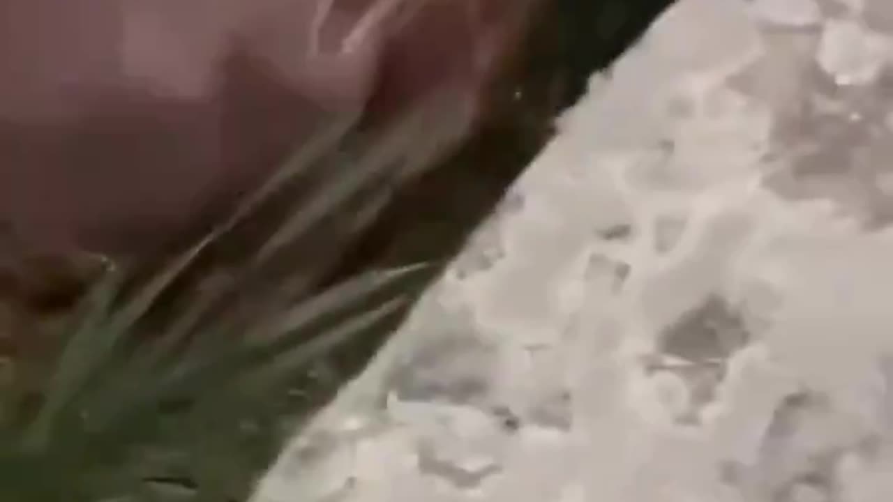 A white teenager was brutally beaten by a group of black teens inside a park in Greenwich, CT.