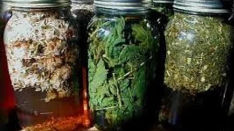 Herbal Infusions