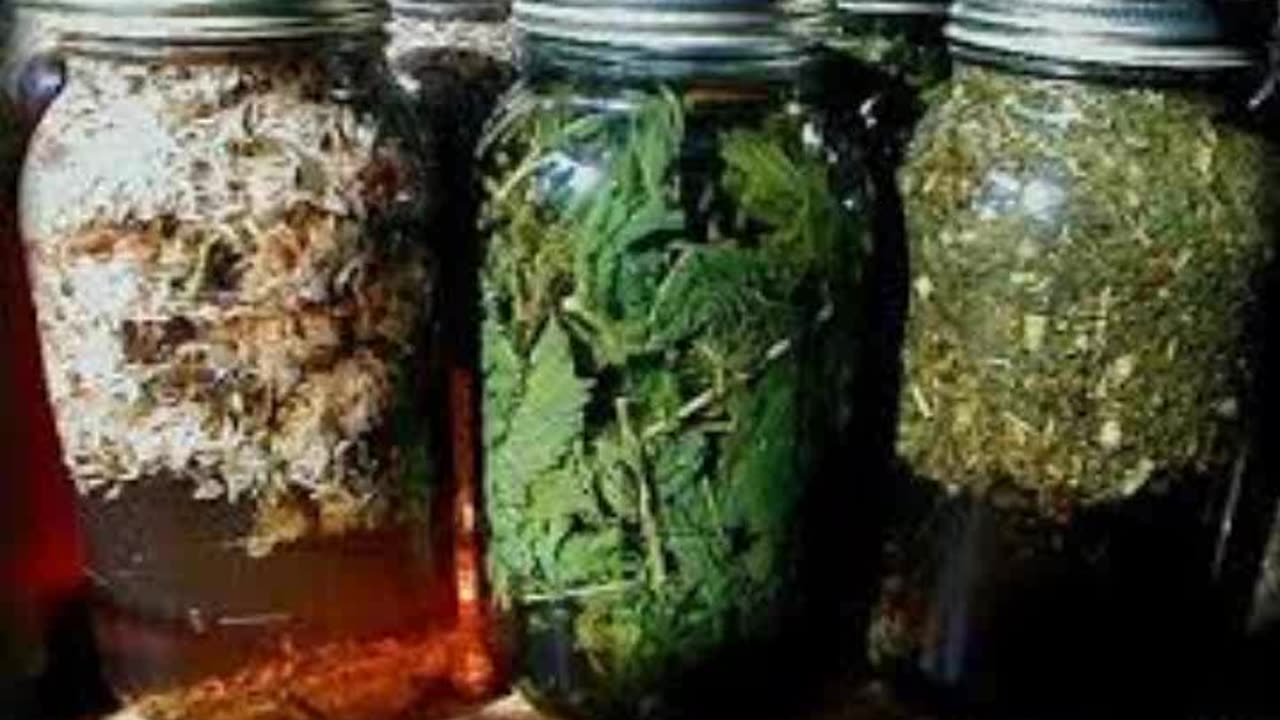 Herbal Infusions