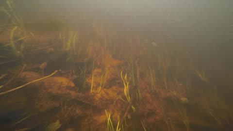 Underwater Adventure