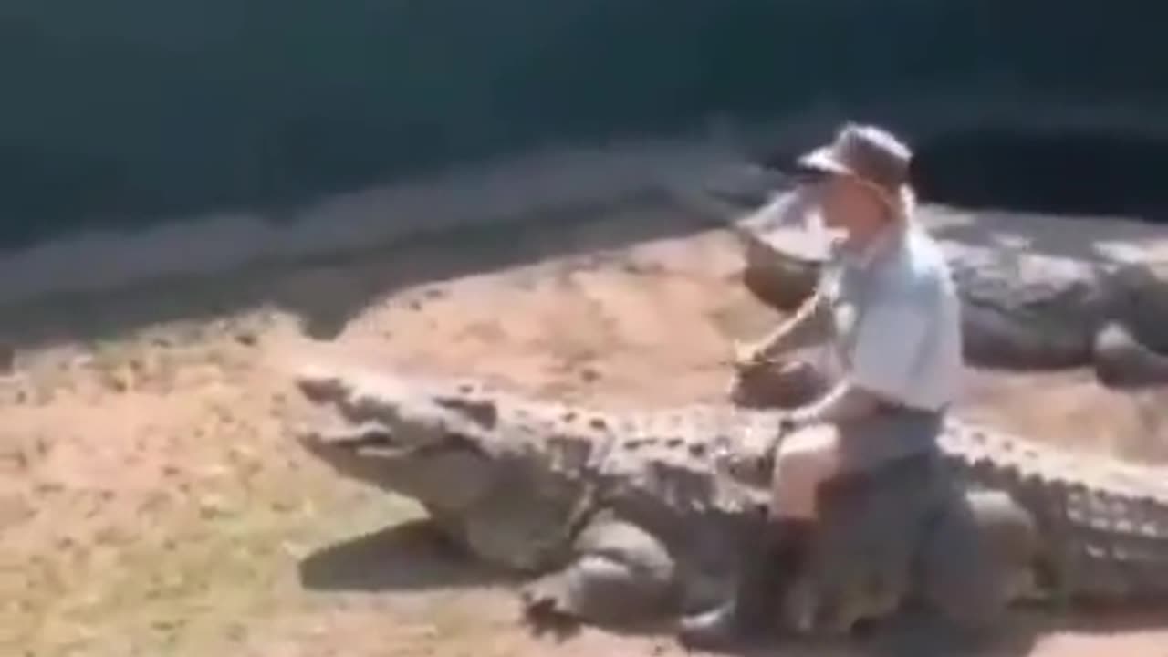 CROC WARRIOR