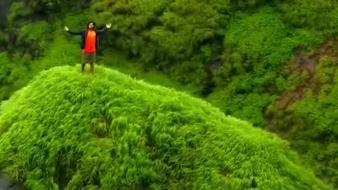 Tu hi re tere bina mein kaise jeeyu
