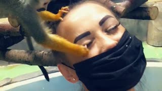 Rambunctious Monkey Snags a Few Lashes