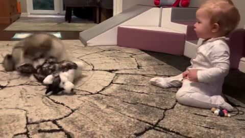 The Best Year Of Our Lives! Baby And Puppy Growing Up Together! (Cutest Ever!!)