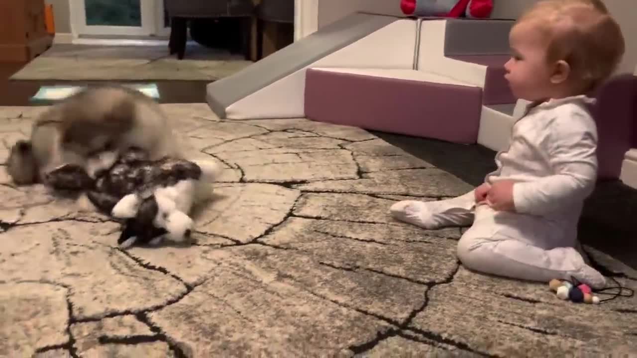 The Best Year Of Our Lives! Baby And Puppy Growing Up Together! (Cutest Ever!!)