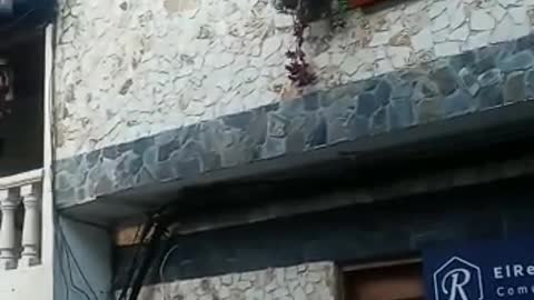 Town Sheriff in El Retiro Antioquía
