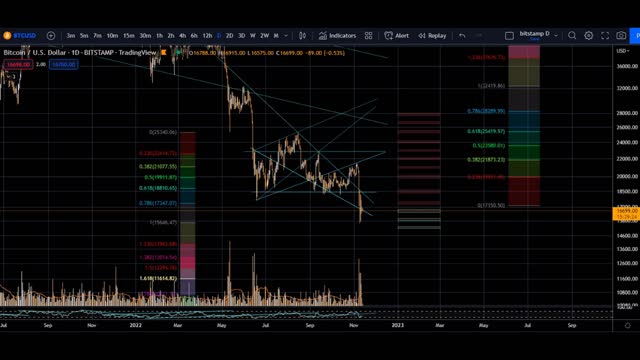 curlifried bankstein vs vaccine mandates + sunday november 13 bitcoin BTC