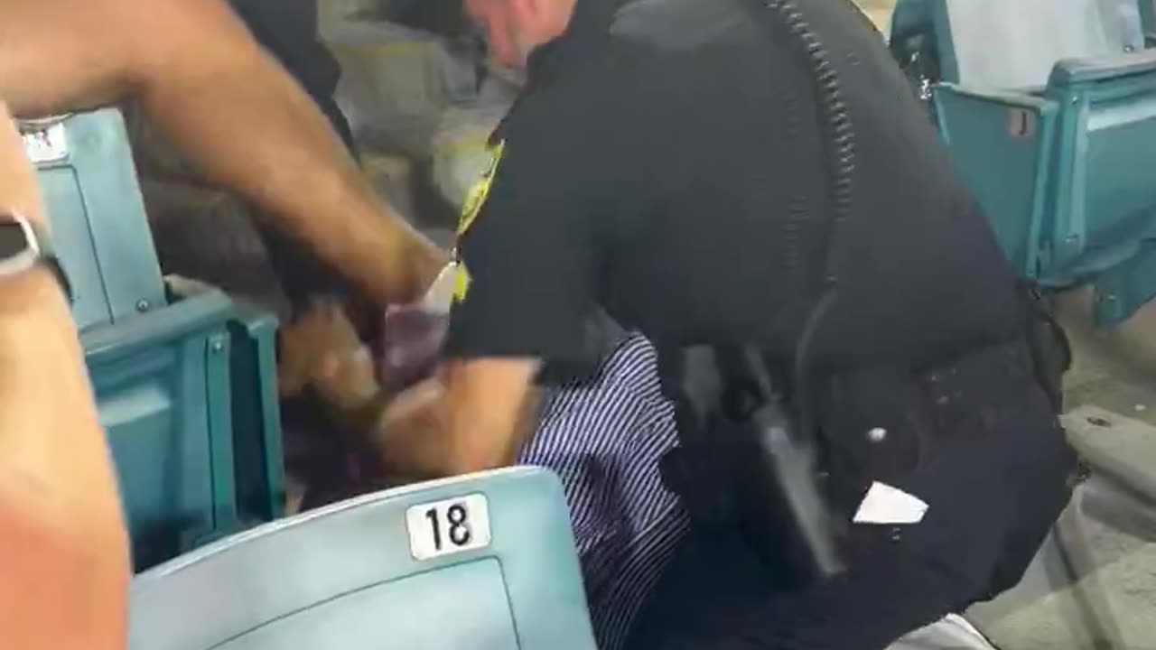 Fight breaks out between fans and police officers at the Florida-Georgia game