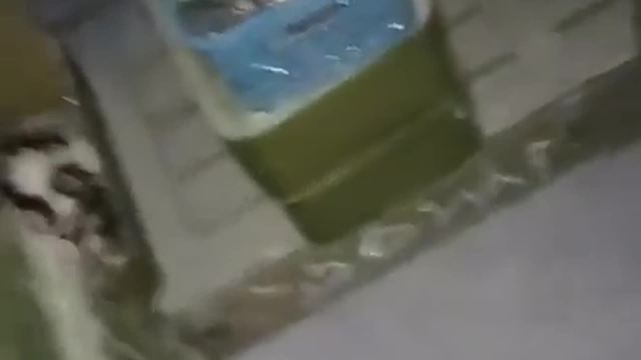 Ukrainian Force has Captured a Russia Warehouse full of all types of weapons. 🔥