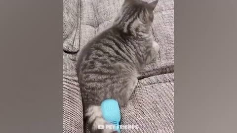 #petfriends #pet lover #funny OMG So Cute puppy | Funniest Cats And Dogs #10 🐱🐶
