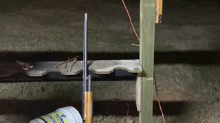 Turkey Shoot one handed