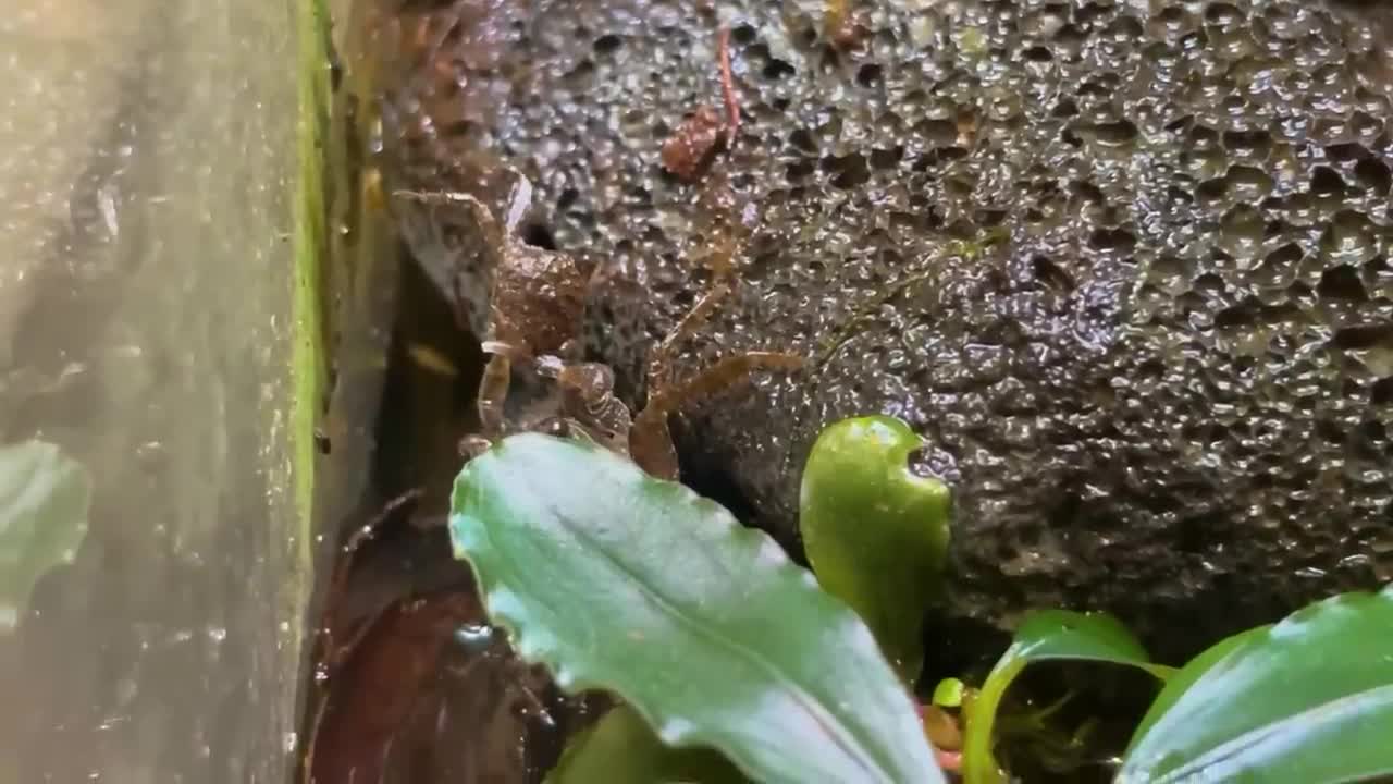 One Year Ago I Built an Ecosystem, This Happened