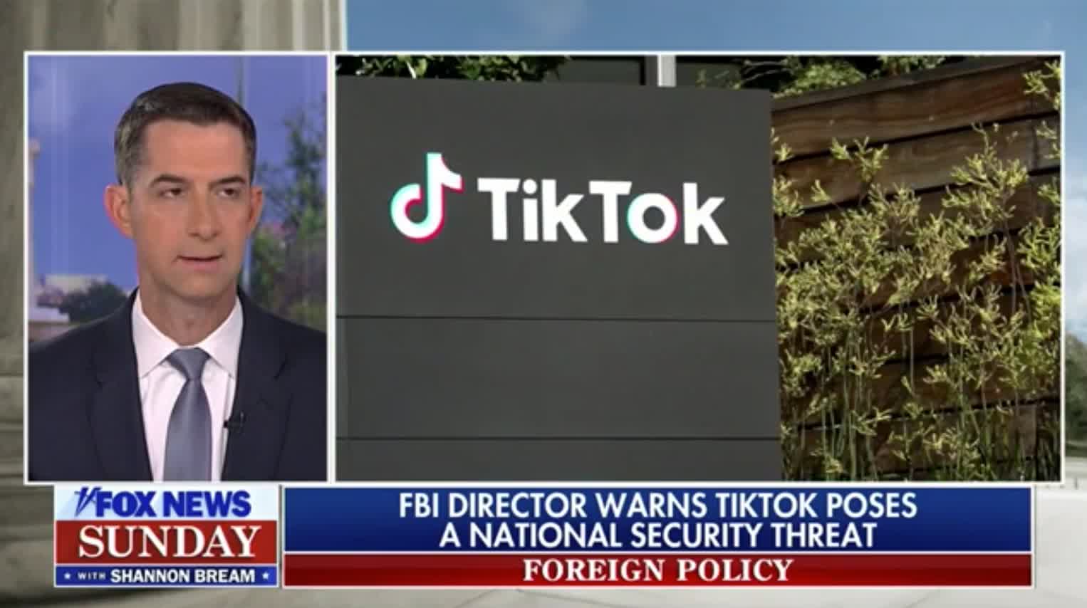 Sen. Tom Cotton talks about the danger of TikTok