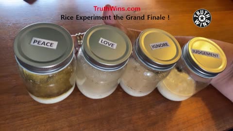 Rice Experiment Finale !