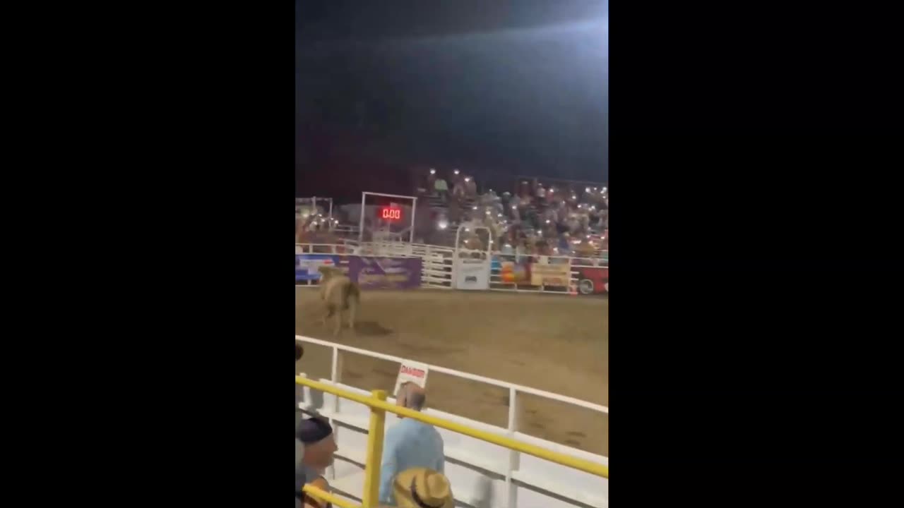 Bull Jumps Arena Fence Into Crowd At Oregon's Sisters Rodeo